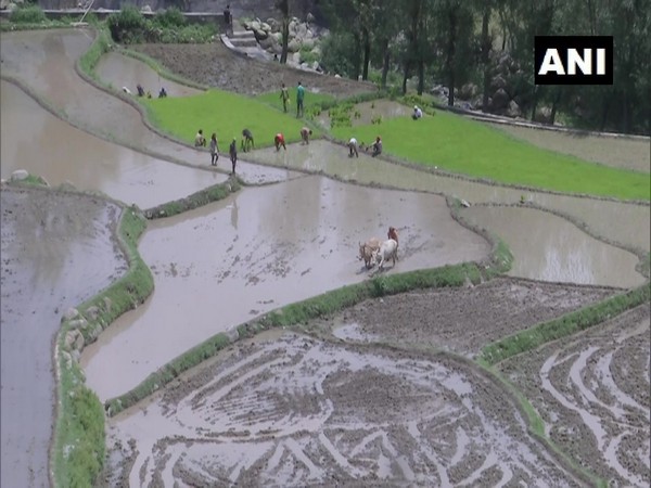 Farmers in J-K’s Rajouri rejoice as water for irrigation reaches remote areas