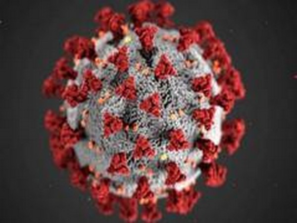 Engineering nanobodies as lifesavers when SARS-CoV-2 variants attack