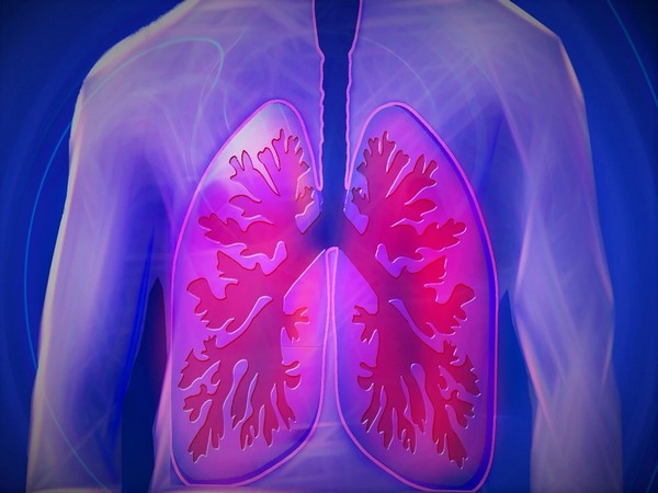 Study discovers compounds that protect lung cells, may block COVID virus