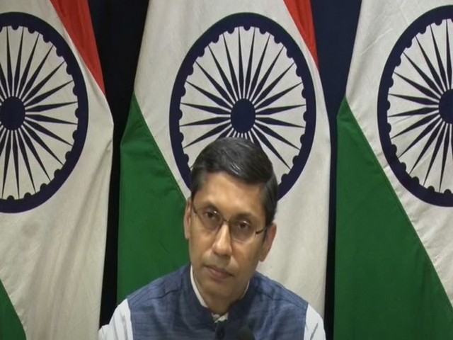 India wishes to see independent, sovereign, democratic, stable Afghanistan: MEA