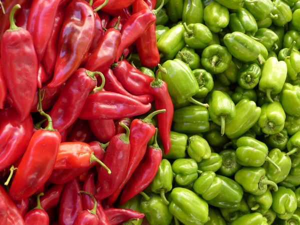 CPEC to expand chilli farming over 5000 acres in Pakistan