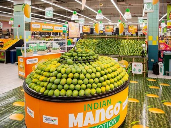 Mango varieties from north India on showcase in Dubai