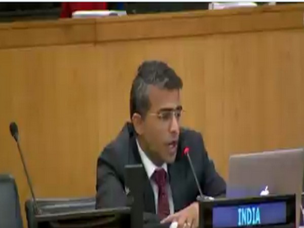 We seek more cooperative, integrated future for Indian Ocean region: India at UN