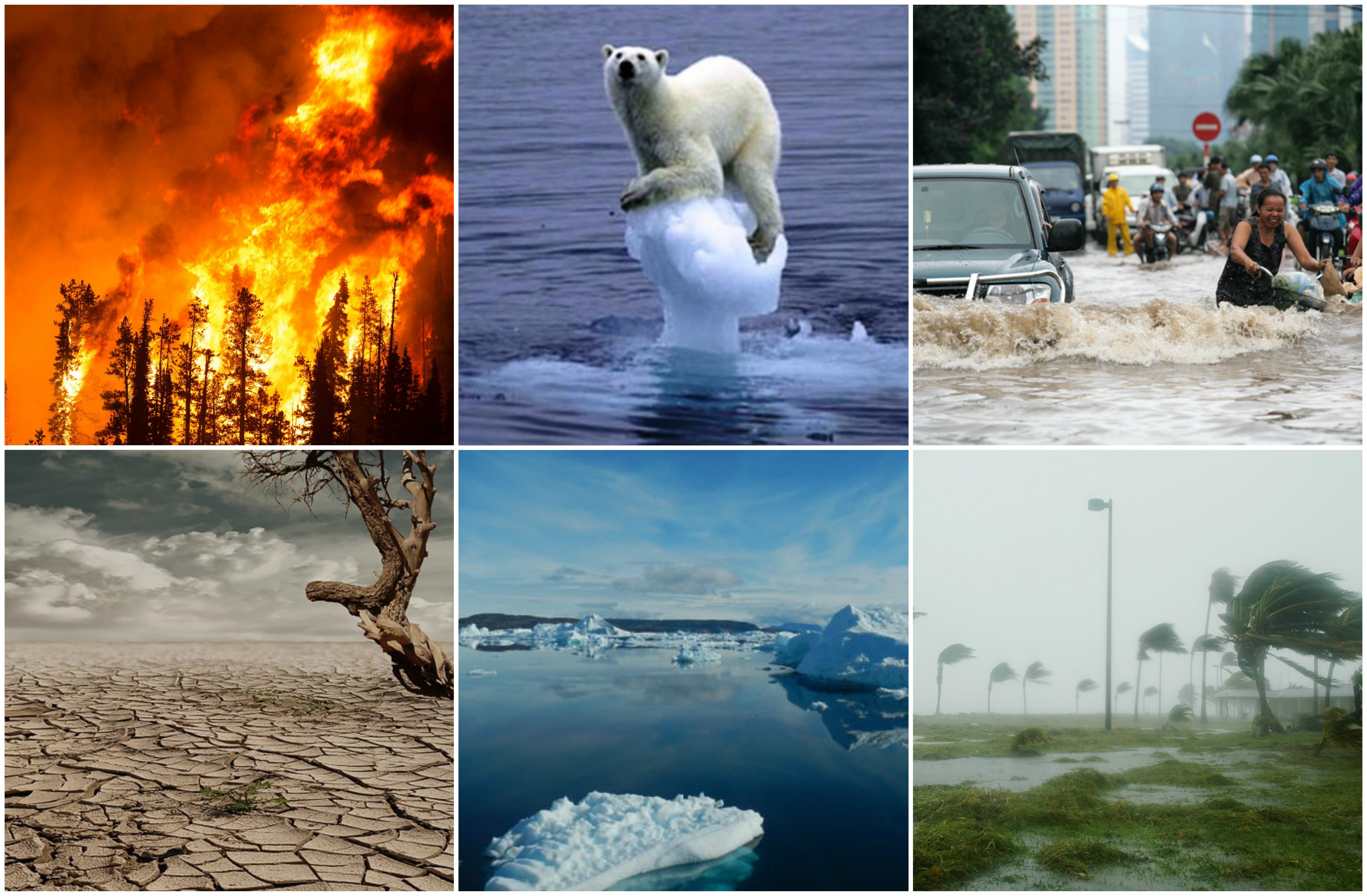 जलवायु परिवर्तन : अर्थशास्त्रियों ने दशकों तक कार्रवाई के लाभ को कम करके आंका