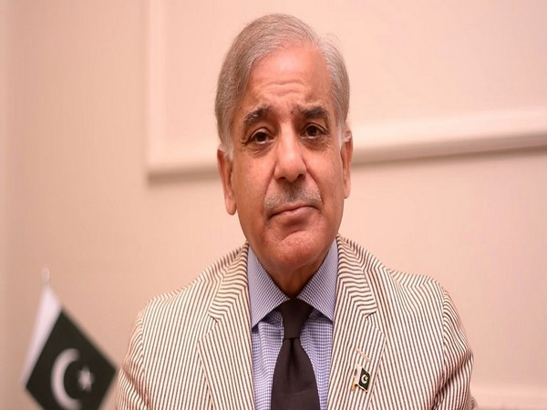 Pakistan needs another IMF loan programme for stability, says PM Shehbaz Sharif