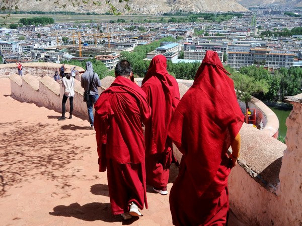 Beijing uses Chinese Buddhist group to transform Tibetan Buddhism: report