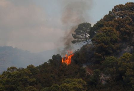 स्पेन में जंगल में लगी आग बुझाने के लिए सेना तैनात की गई