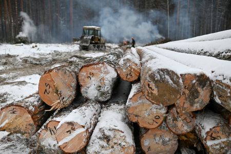 EU challenges Russia at WTO over wood export restrictions