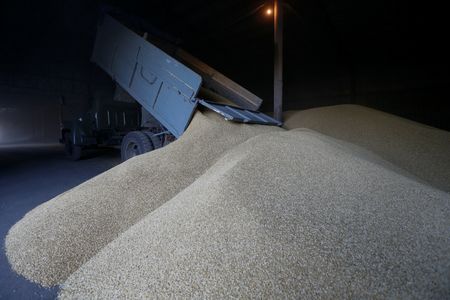 Ukraine says Russia stole ‘several hundred thousand tonnes’ of grain