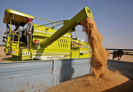 Global wheat prices jump after India export ban and Ukraine war: FAO